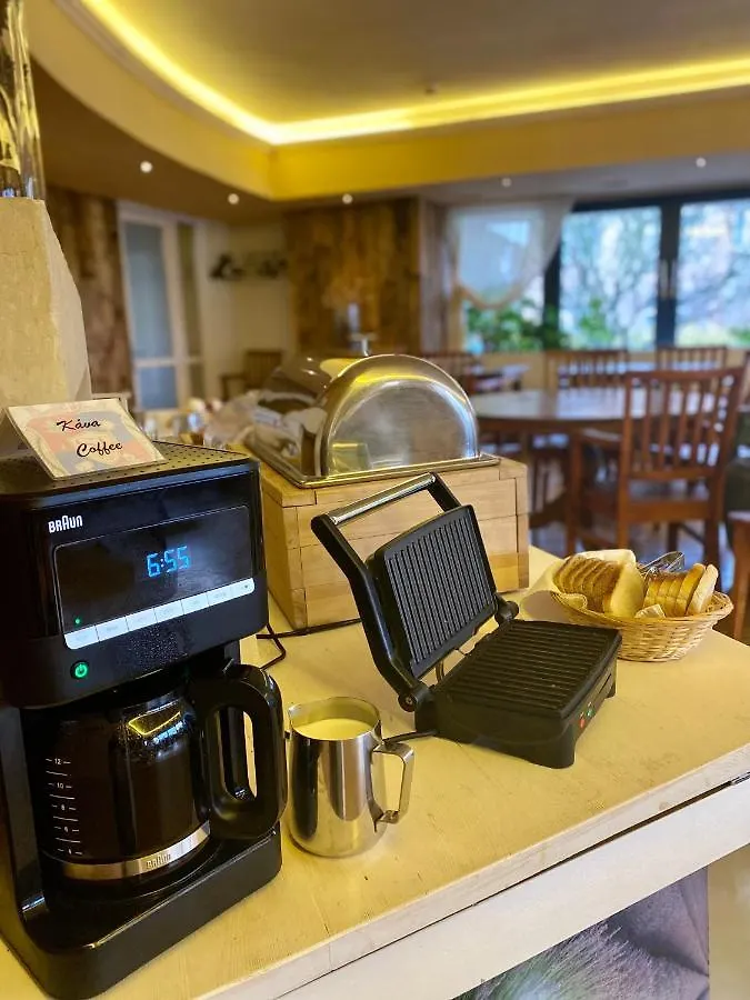 Villa St. Tropez Prague 4*,